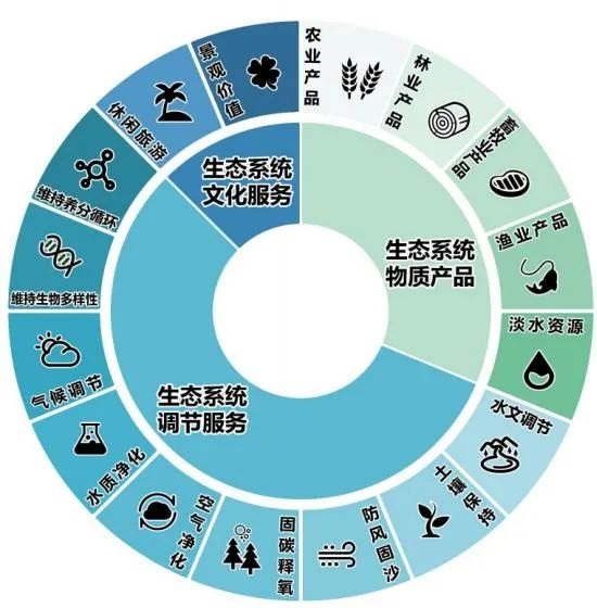 p67.jpg
